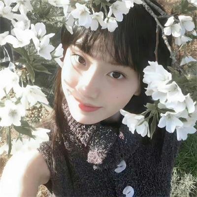 夏洛克的孩子们